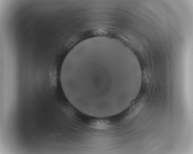 X0000101090223200807241014