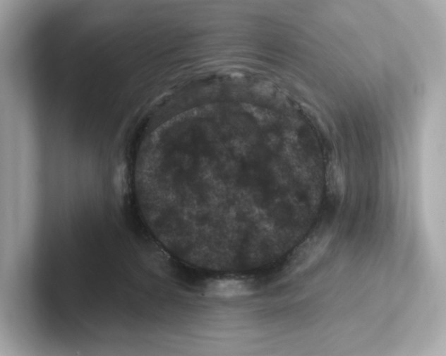 X0000101090224200807241014