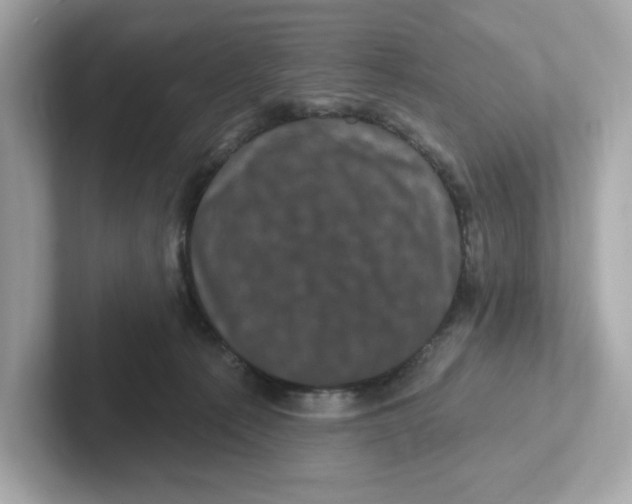 X0000101090225200807241014