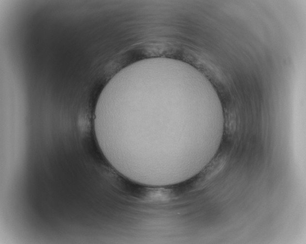 X0000101090226200807241014