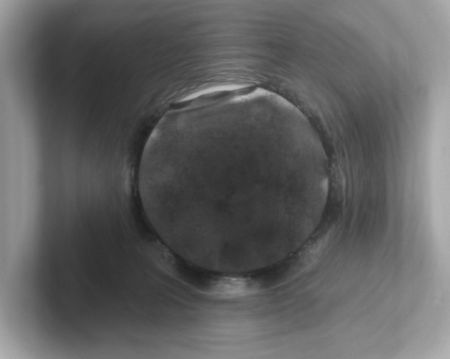 X0000101090227200807241014