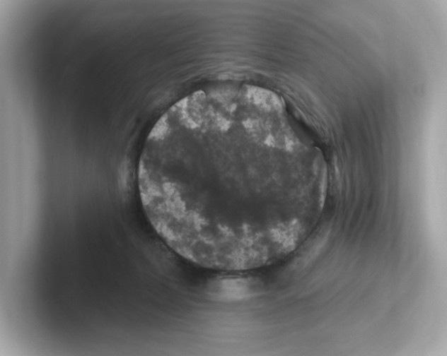 X0000101090228200807241014