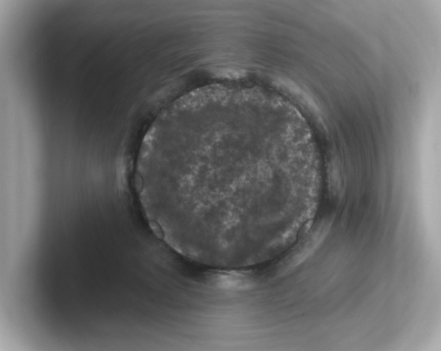 X0000101090229200807241014