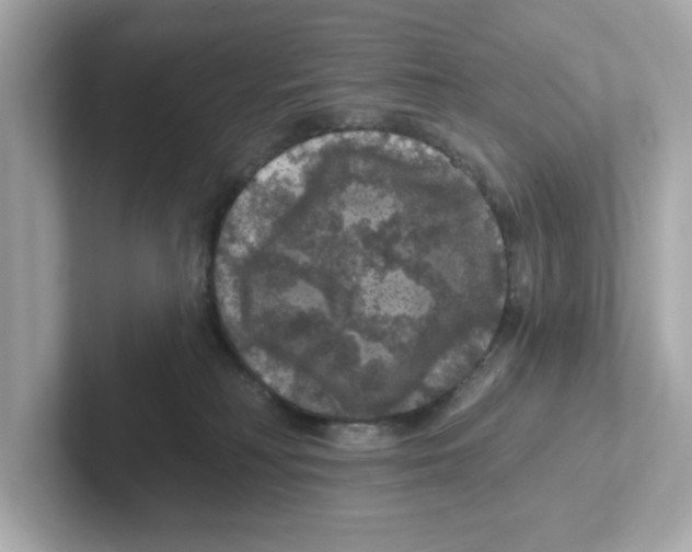 X0000101090230200807241014