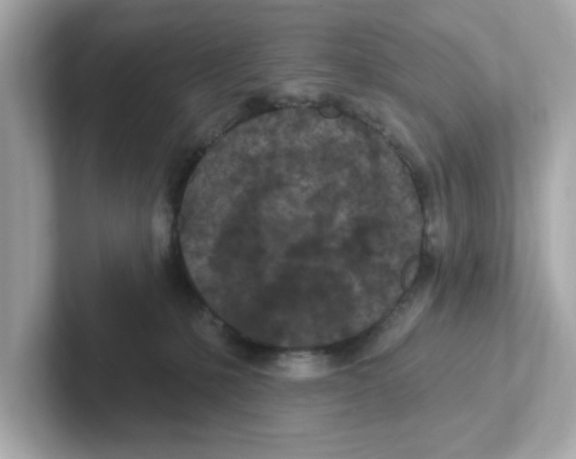 X0000101090231200807241014