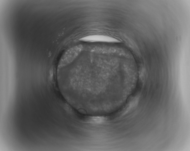X0000101090233200807241014