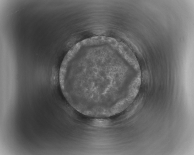 X0000101090234200807241014