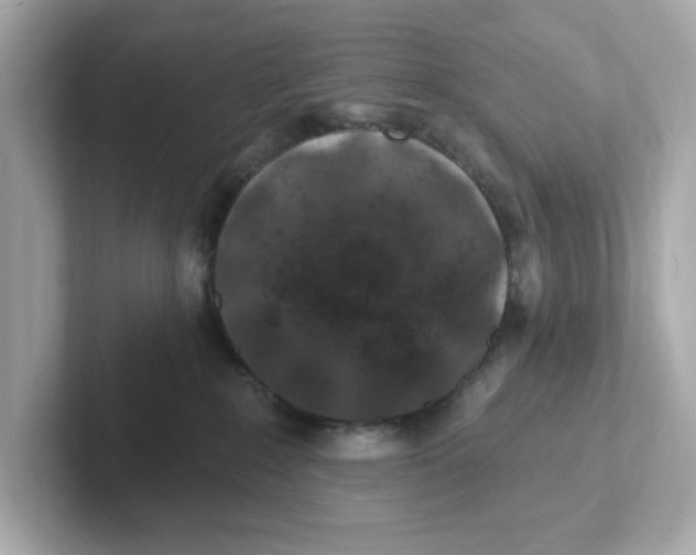 X0000101090235200807241014