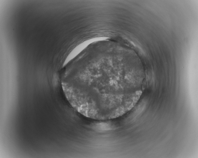 X0000101090236200807241014