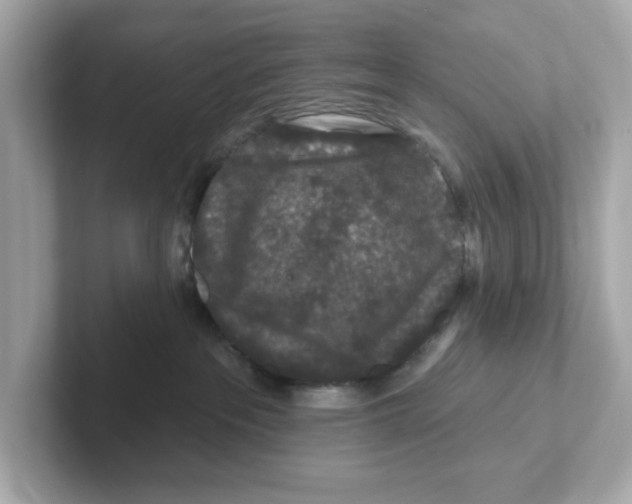 X0000101090237200807241014