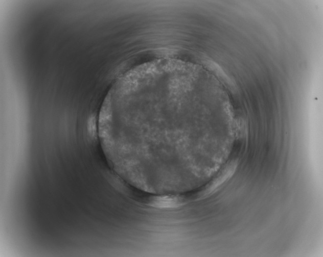 X0000101090238200807241014