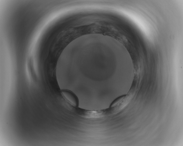 X0000101090239200807241014