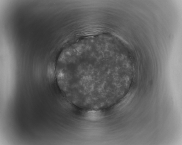 X0000101090240200807241014