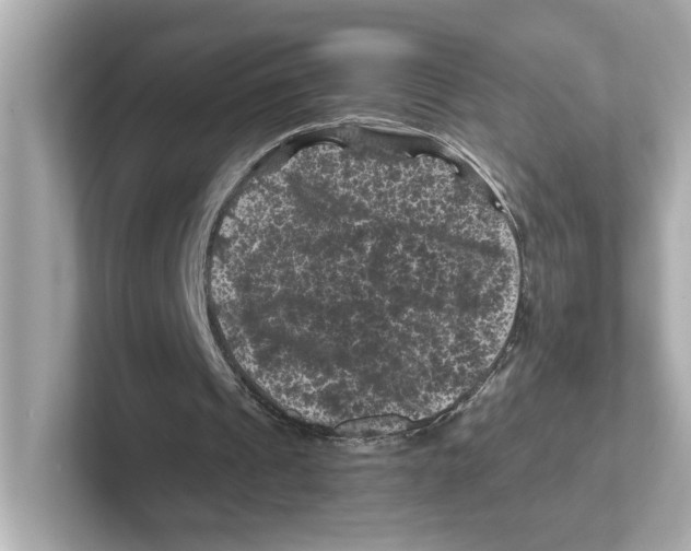 X0000101090241200807241013
