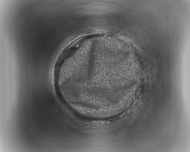 X0000101090242200807241013