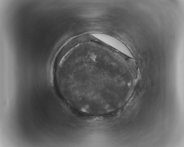 X0000101090243200807241013