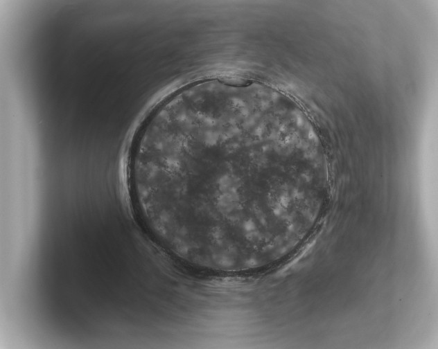 X0000101090244200807241013