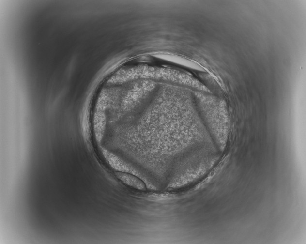 X0000101090245200807241013