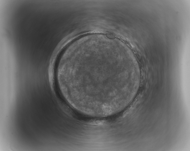 X0000101090247200807241013