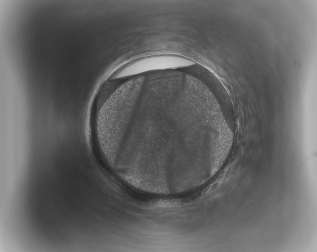 X0000101090248200807241013