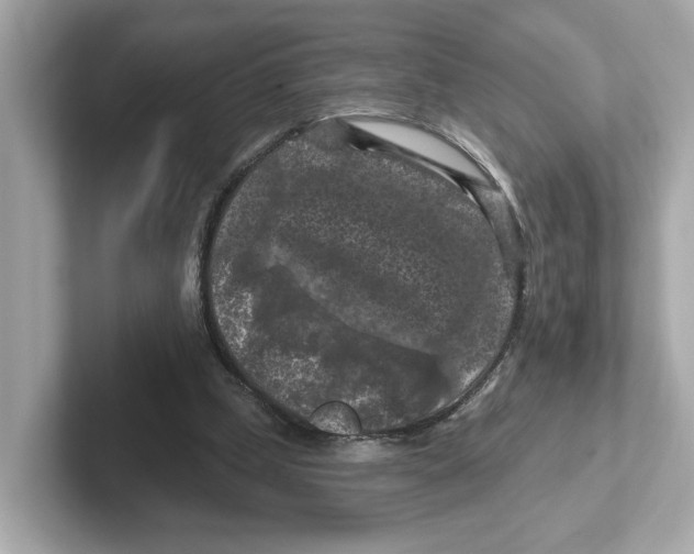 X0000101090249200807241013