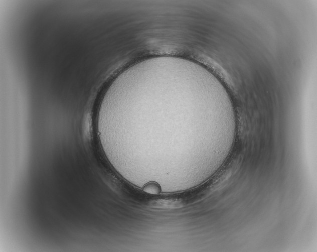 X0000101090251200807241013