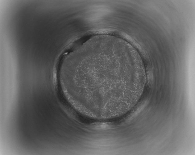 X0000101090254200807241013
