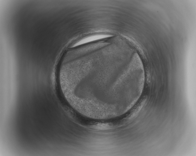 X0000101090256200807241013