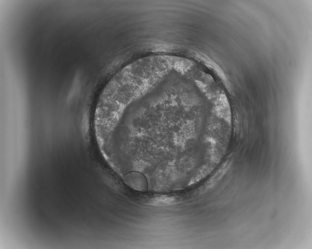 X0000101090257200807241014