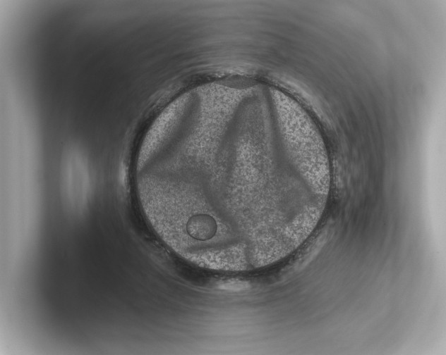 X0000101090258200807241014