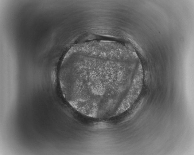 X0000101090259200807241014