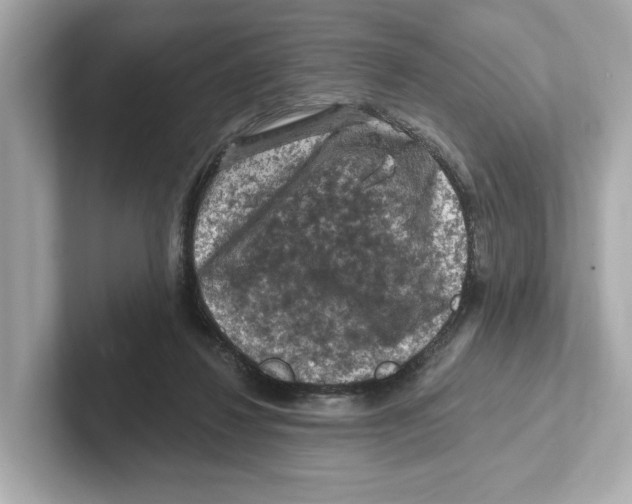 X0000101090260200807241014
