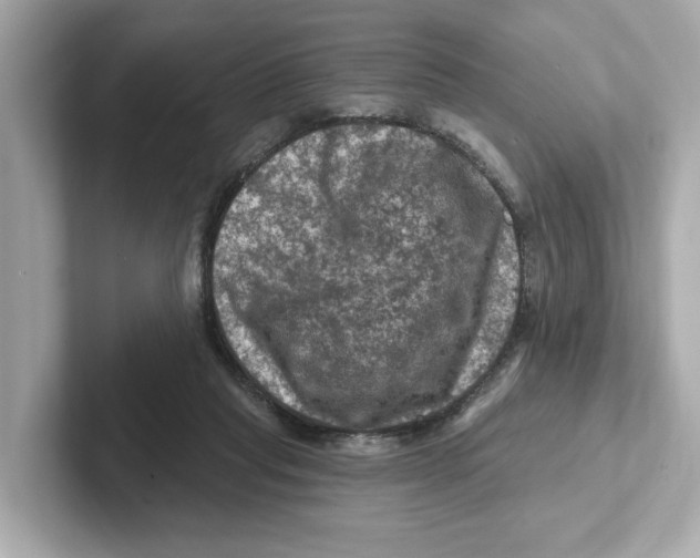 X0000101090261200807241014
