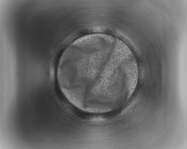 X0000101090262200807241014
