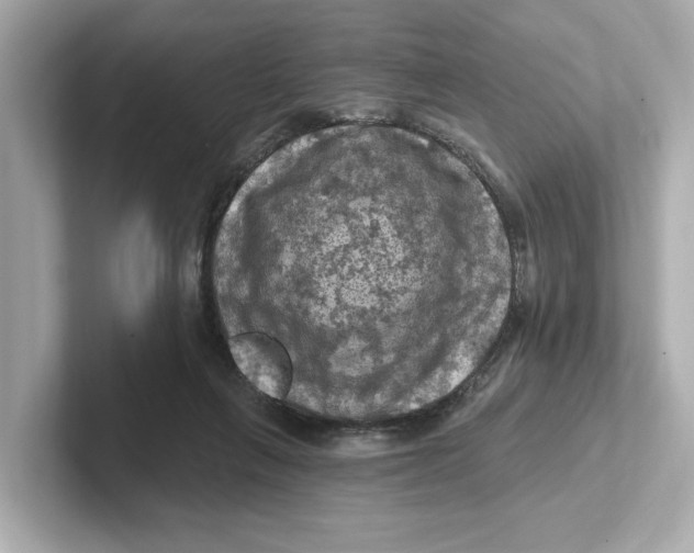 X0000101090263200807241014