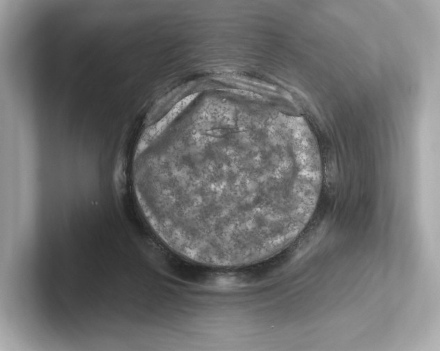 X0000101090264200807241014