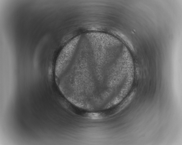 X0000101090265200807241014