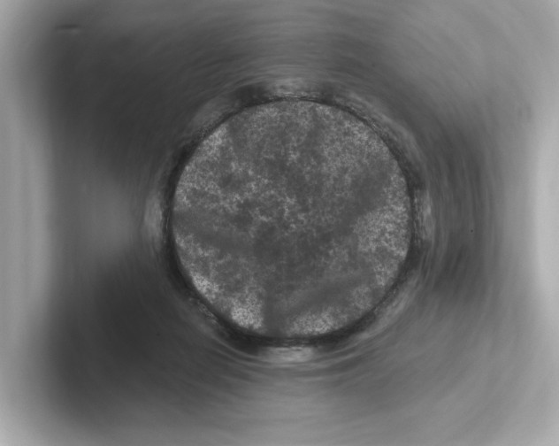 X0000101090266200807241014