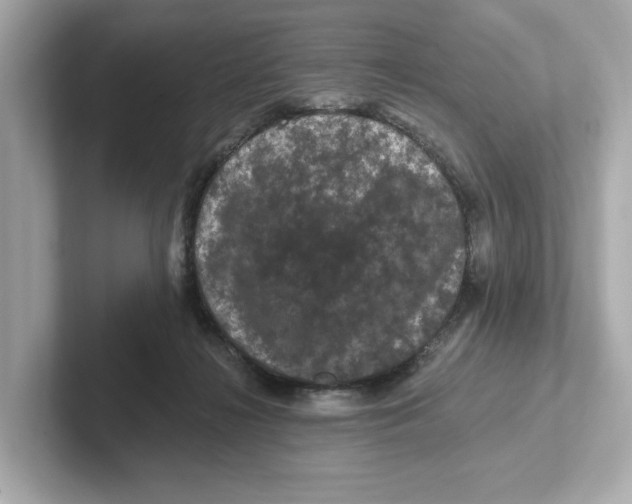 X0000101090268200807241014