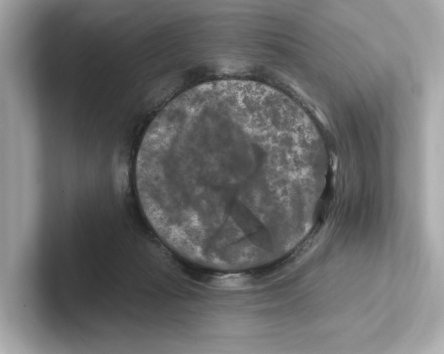 X0000101090269200807241014