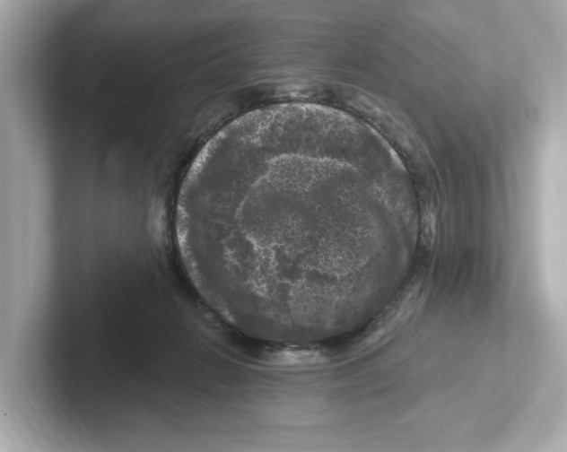 X0000101090270200807241014
