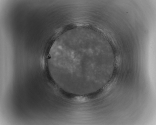 X0000101090272200807241014