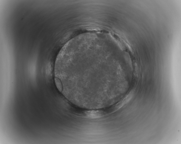 X0000101090273200807241014