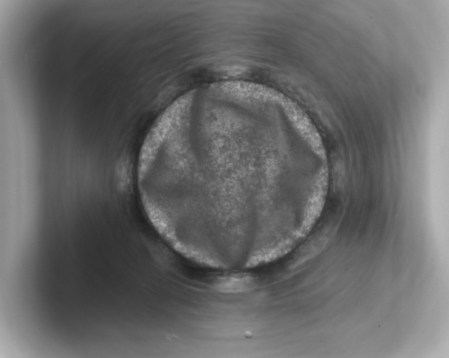 X0000101090274200807241014