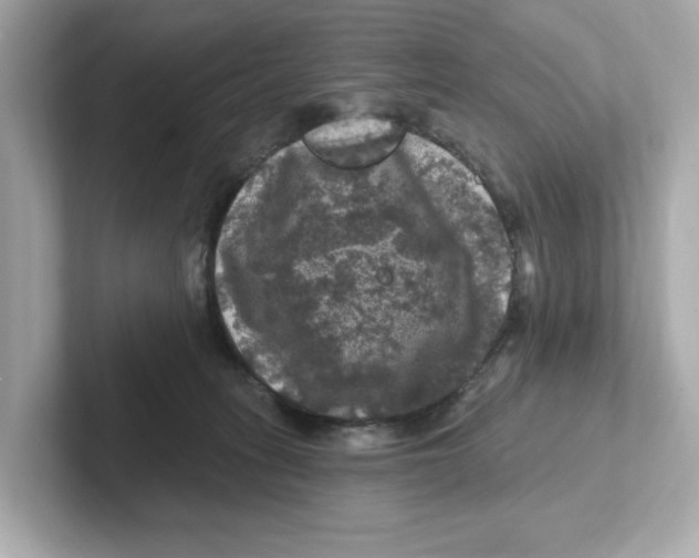 X0000101090275200807241014