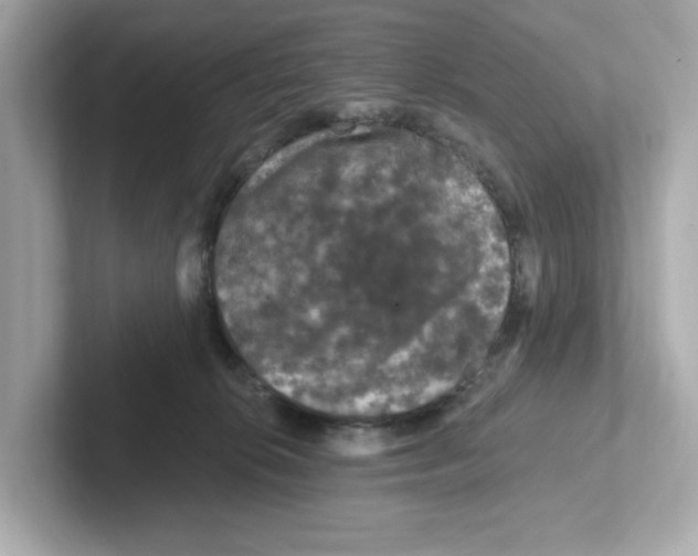 X0000101090276200807241014