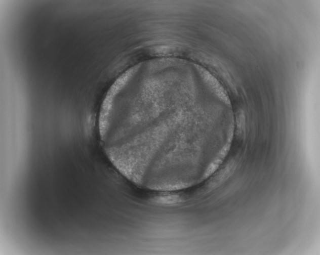 X0000101090278200807241014