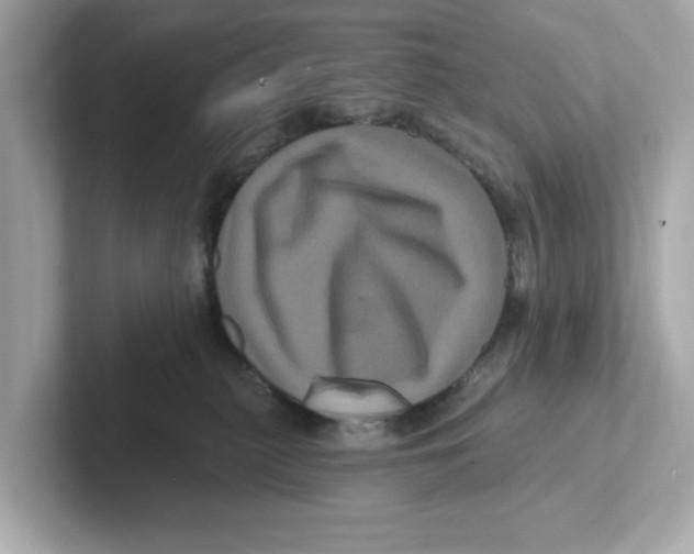 X0000101090279200807241014