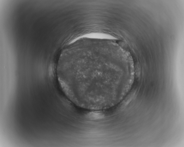 X0000101090280200807241014