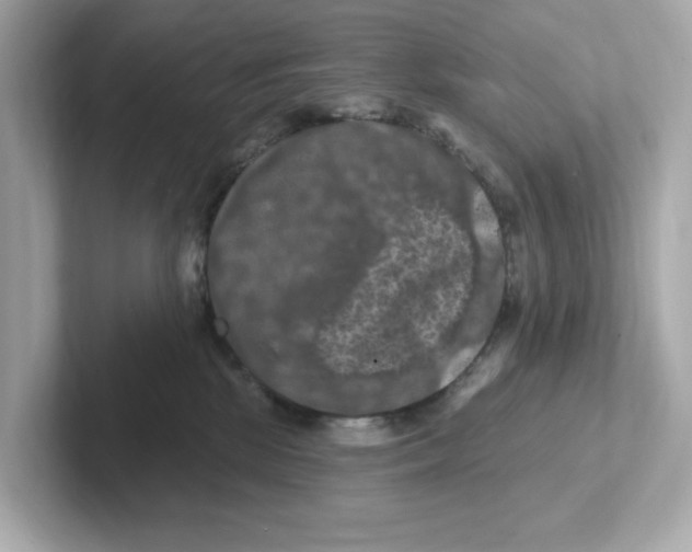 X0000101090281200807241014